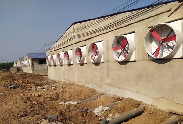 Quạt hút công nghiệp composite được ứng dụng trong trang trại chăn nuôi