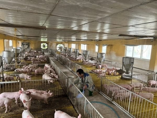 Dùng quạt thông gió công nghiệp