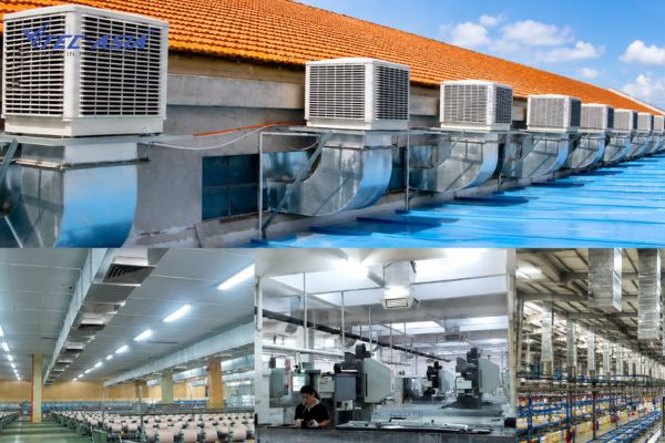 Máy làm mát hơi nước phù hợp với những không gian cần lưu thông không khí